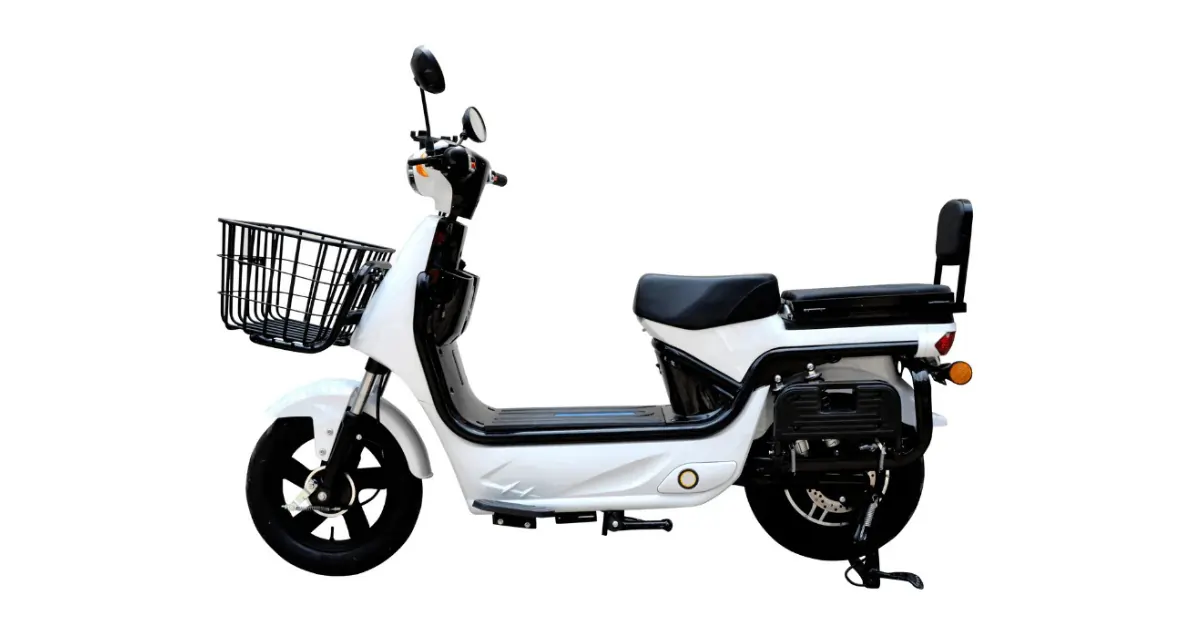 HCD NPS Cargo Electric Delivery Bike India